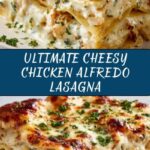 Cheesy Chicken Alfredo Lasagna Recipe