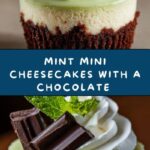 Mint Mini Cheesecakes Recipe