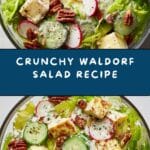 Waldorf Salad Recipe