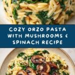 Easy Orzo Pasta with Mushrooms & Spinach : Comforting Dish Recipe