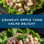 Apple Tuna Salad Recipe