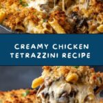 Classic Chicken Tetrazzini Recipe