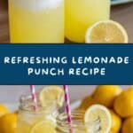 Lemonade Punch Recipe