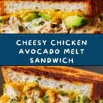 Chicken Avocado Melt Sandwich Recipe