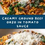 Ground Beef Orzo with Tomato Cream Sauce Recipe