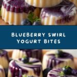 Blueberry Swirl Yogurt Bites Recipe