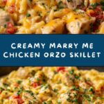 One Pot Marry Me Chicken Orzo Recipe