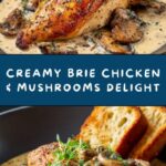 Creamy Brie Chicken & Mushrooms Recipe