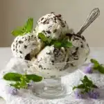 Homemade Mint Chocolate Chip Ice Cream Recipe