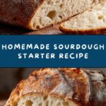 Sourdough Starter Recipe