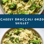 Broccoli Cheese Orzo Recipe
