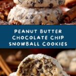 Peanut Butter Chocolate Chip Snowball Cookies Recipe