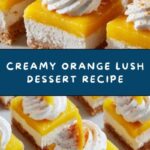 Orange Lush Dessert Recipe