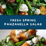 Spring Panzanella Salad Recipe