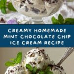 Homemade Mint Chocolate Chip Ice Cream Recipe