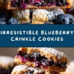 Blueberry Crinkle Cookies Recipe