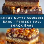 Chewy Nutty Squirrel Bars Recipe