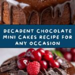 Chocolate Mini Cakes: A Sweet Delight for Any Occasion Recipe