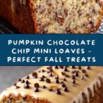 Pumpkin Chocolate Chip Mini Loaves Recipe