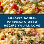 Creamy Garlic Parmesan Orzo Recipe