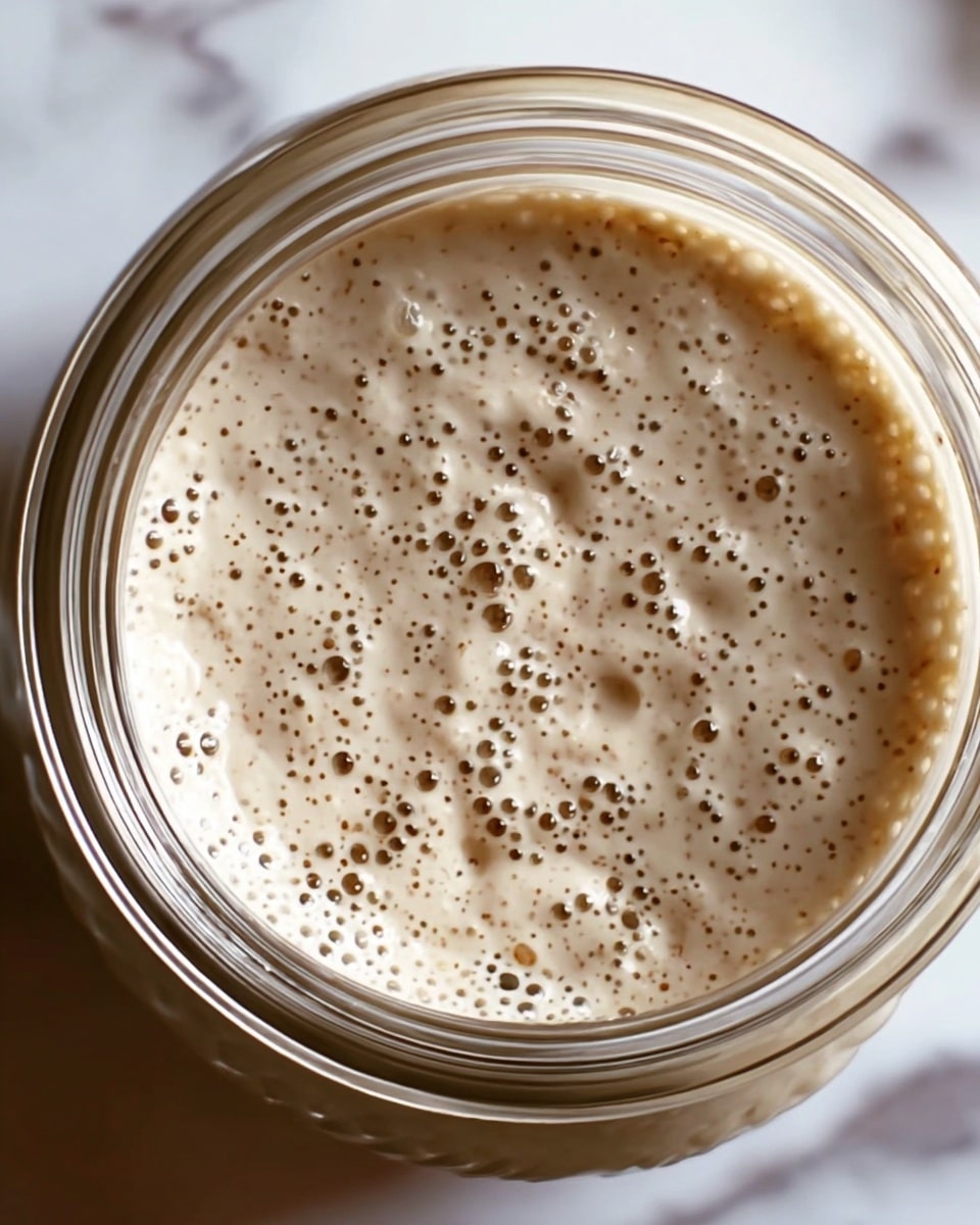 Sourdough Starter Recipe - Recipe Image