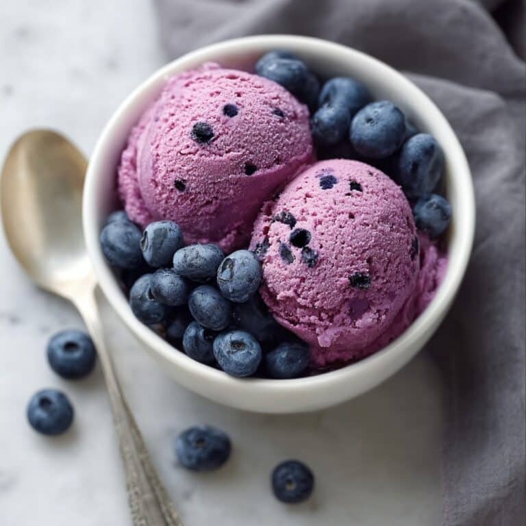 Blueberry Frozen Yogurt Recipe
