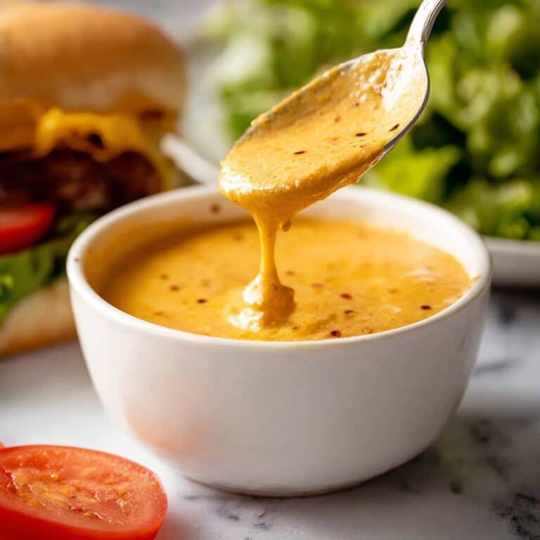 Special Burger Sauce Recipe