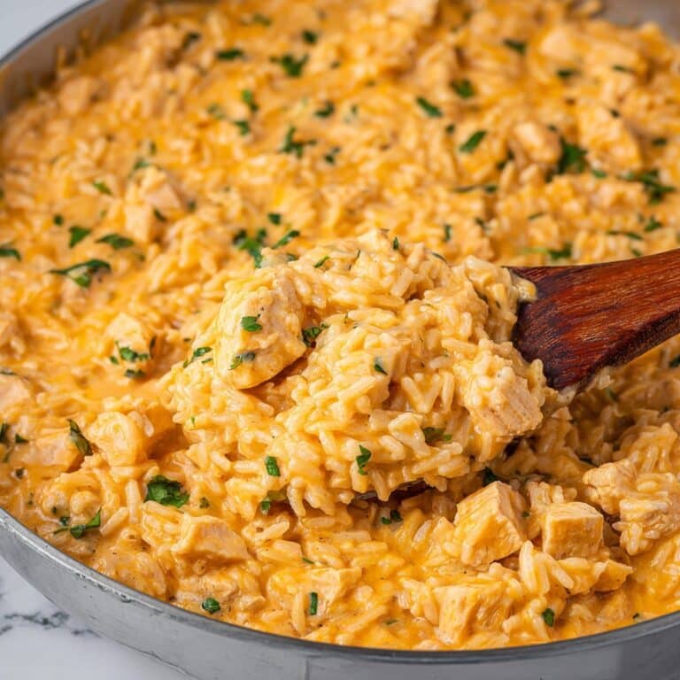 Creamy Chicken Orzo Recipe