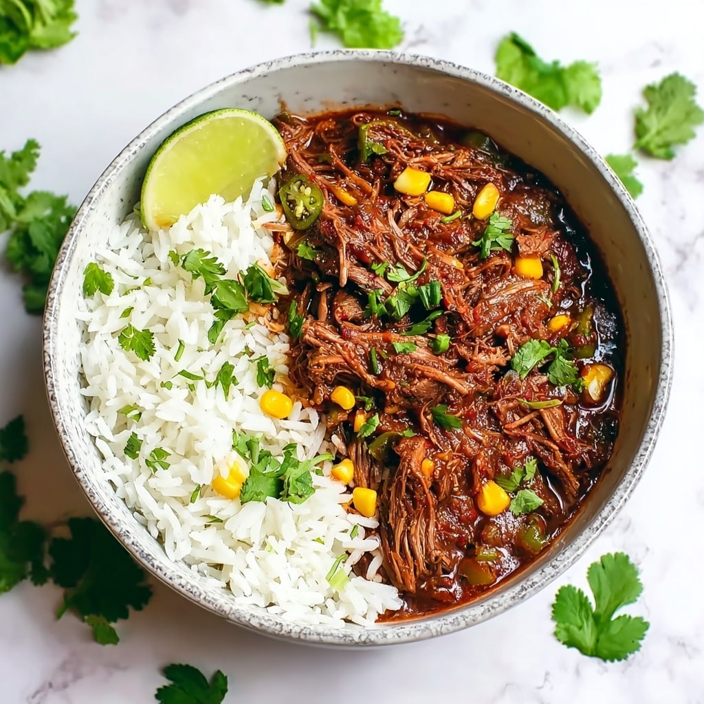 Coconut Curry Shredded Beef Recipe - Recipe Image